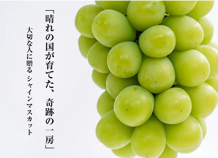 晴れの国、岡山の陽光が育てた奇跡の一房。“大切な人に贈る”シャイン