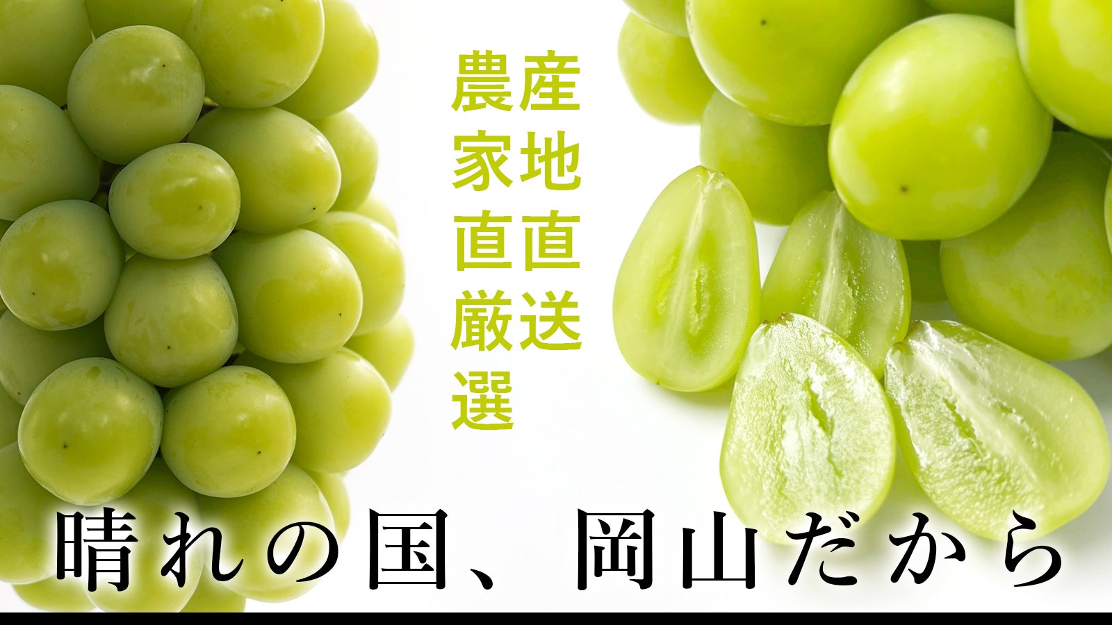 株式会社LOF のプロジェクト｜マクアケ - アタラシイものや体験の応援