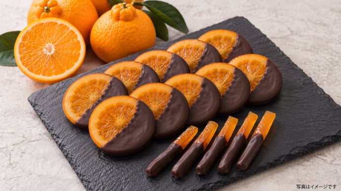 夢は諦めない。上質なチョコと熊本「不知火」が奏でる、復興の極上