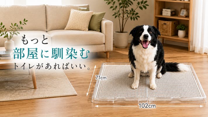 大型犬の「狭い・邪魔」を解決！リビングに溶け込むビッグサイズの透明