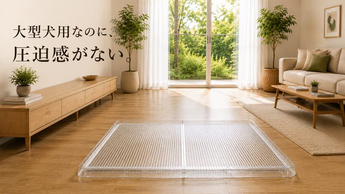 大型犬の「狭い・邪魔」を解決！リビングに溶け込むビッグサイズの透明