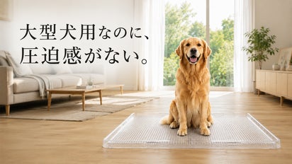 大型犬の「狭い・邪魔」を解決！リビングに溶け込むビッグサイズの透明