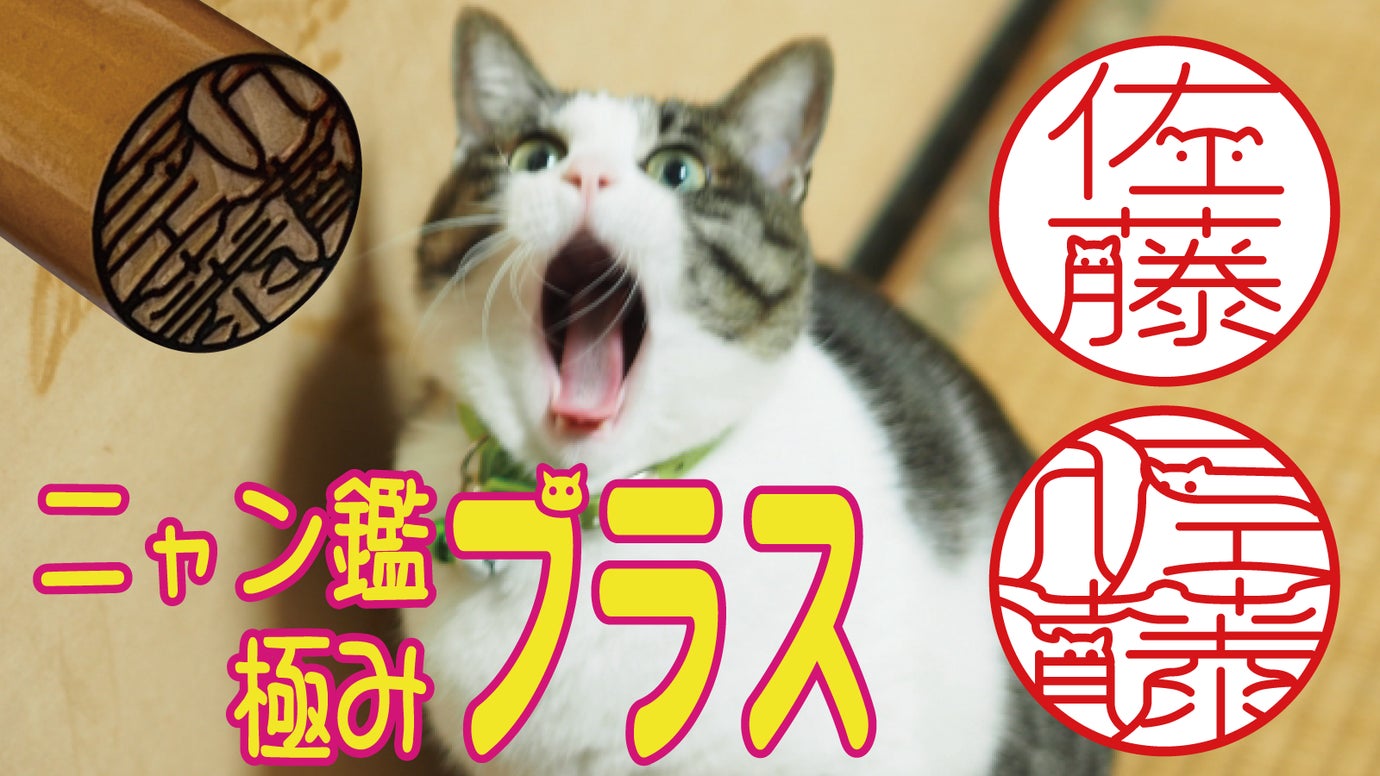 名前の中に可愛い猫の顔が潜む印鑑「ニャン鑑極みプラス」