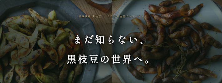 Brix糖度29.5度を記録した完熟黒枝豆 兵庫県産黒枝豆三つの旬を食べ