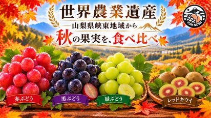 山梨の秋を食べ比べ】赤・黒・緑の3色ぶどう ＆ 希少なレッドキウイ