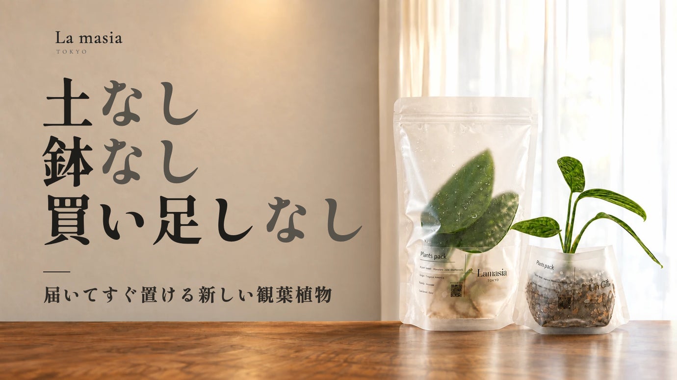 水やりのタイミングが、見える。袋のまま育てる新しい観葉植物｜Lamasia