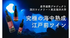 深川ワイナリー&times;東京海洋大学、ワインと海のプロが本気で挑む究極の海中熟成ワイン