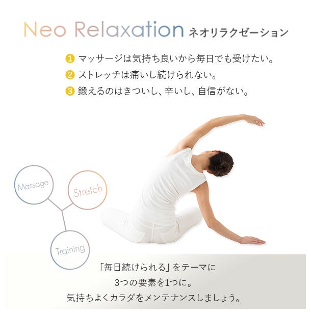 整体ボディクッション 楽天市場】整体院の先生がお勧めする クッション お尻にフィット 約41