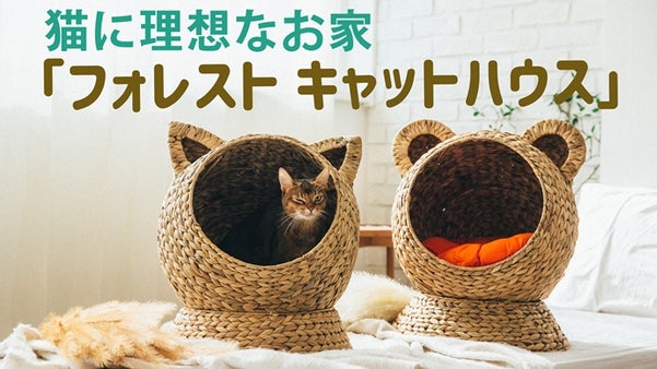 自然素材で安心！猫に理想なお家！「フォレスト キャットハウス」
