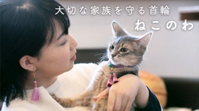 家族同然、大事なペット「ねこ」ちゃんをパワーストーン付首輪で守りたい！