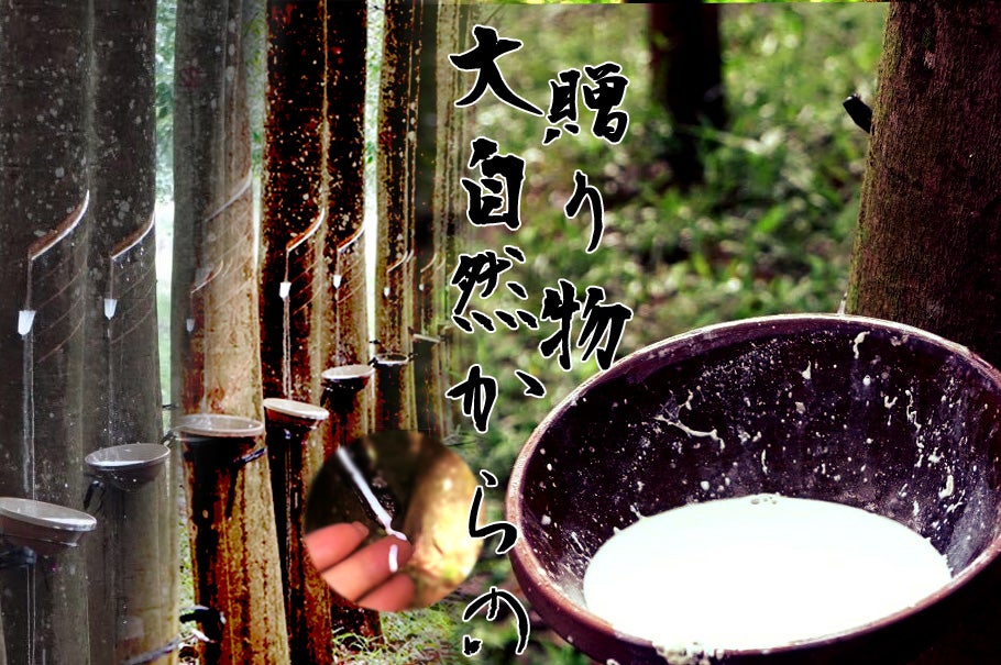 大いなる自然の恵み-------純天然ラテックス枕｜マクアケ - アタラシイ