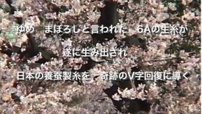 市民プロデューサーとして自主製作記録映画「ゆめまぼろしの糸」を共に創りましょう　