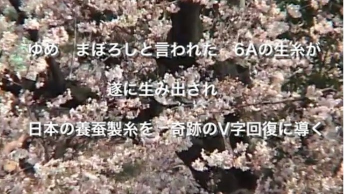 市民プロデューサーとして自主製作記録映画「ゆめまぼろしの糸」を共に創りましょう　