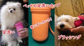 特許取得の必需品！ ペットの足洗いカップ ジャブラ JABLLA HOOPOES