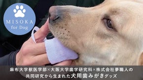 大学との共同研究から誕生したスキンシップを楽しめる愛犬用歯みがきグッズ