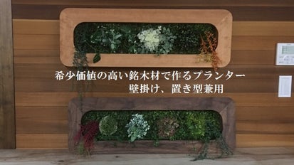 世界の広葉樹（銘木）で作る室内用壁掛け兼用卓上プランター｜マクアケ 
