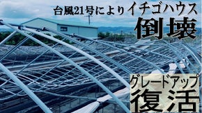 イチゴハウス倒壊を乗り越え、グレードアップ復活プロジェクト！！