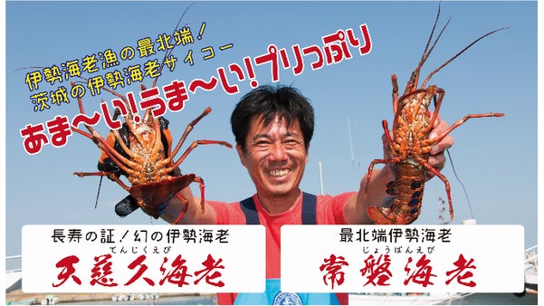 マクアケ限定！最北端の常磐海老と長寿の証 幻の「天慈久海老」を食べてほしい！　