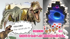 恐竜と宇宙のウォールステッカーで童心を取り戻し、新しい癒しのカタチを実現！