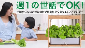 約１週間放置でOK！手間がいらないのに植物や野菜が早く育つLEDプランター