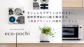 植物初心者でも安心タイプの進化形！消臭グリーンエコポチ「ポットイン」