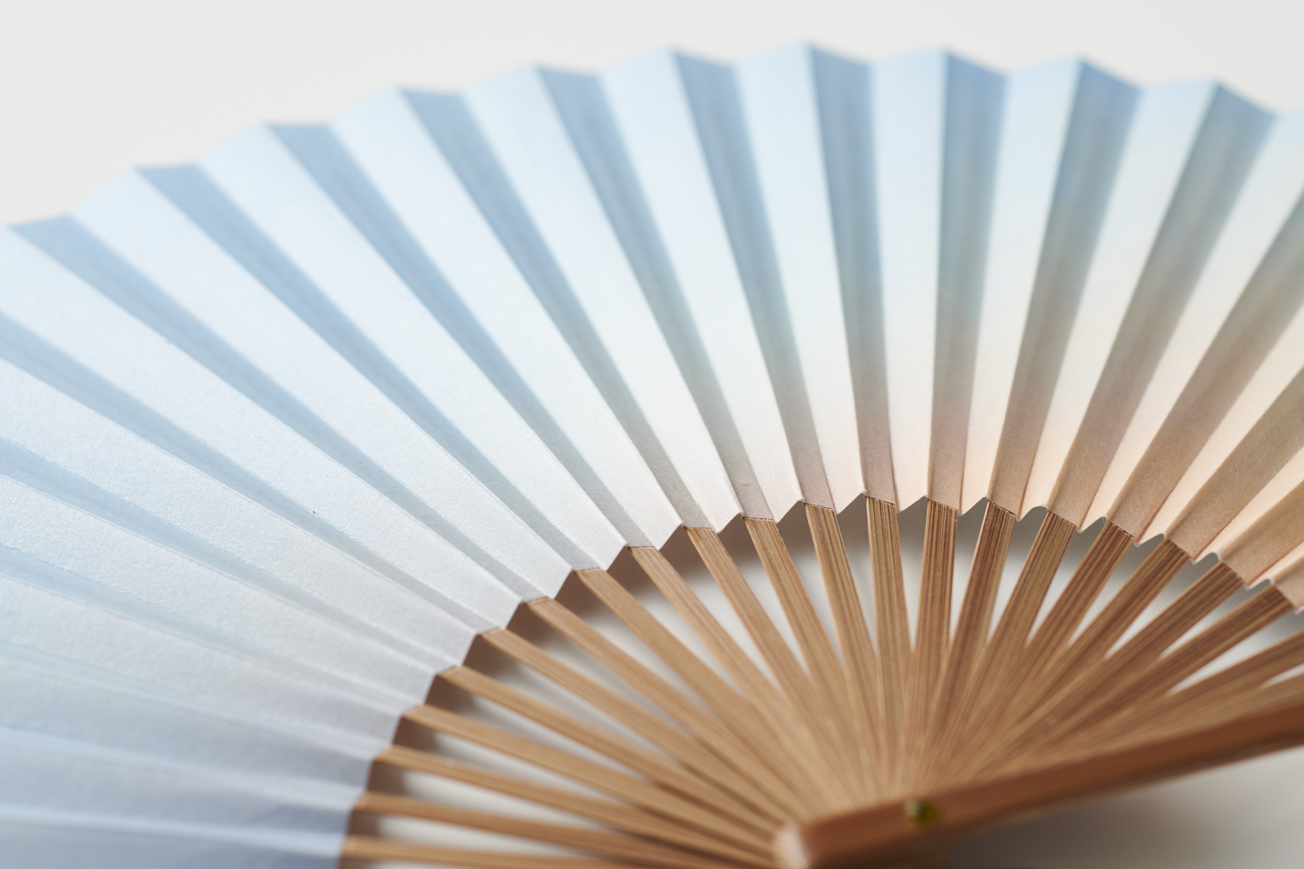 香扇水引50個 しけびき扇子 かすみ 両面 紫 7.5寸 – 江戸扇子とうちわの老舗通販_