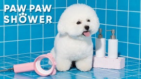 ペットとの散歩が楽しくなる！汚れ足の洗いがラクになる「ポポシャワー」