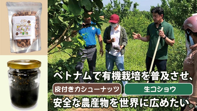 ベトナムで有機栽培の普及、日本の農業技術で育てた生胡椒と皮付き