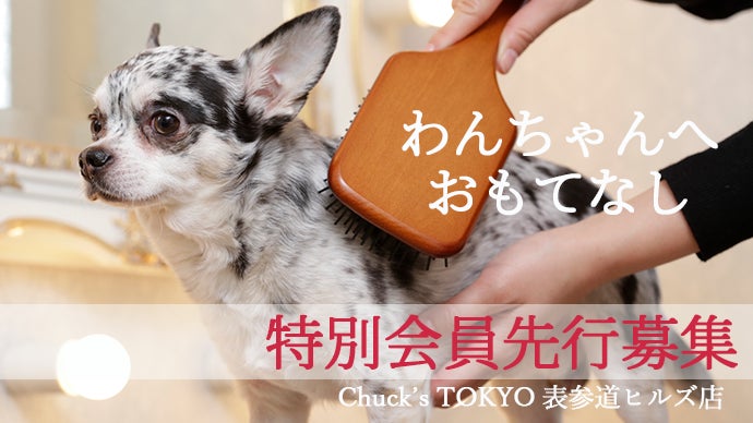 表参道ヒルズ内のプレミアムペットサロン。マクアケで特別会員を先行募集