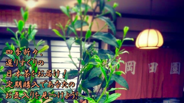 四季折々、選りすぐりの日本茶をお届け！　定期購入であなたのお気入りを見つけよう！