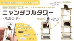 『キャットタワー専門店』が『ネコの快適』を追求した 猫お墨付きキャットタワー　