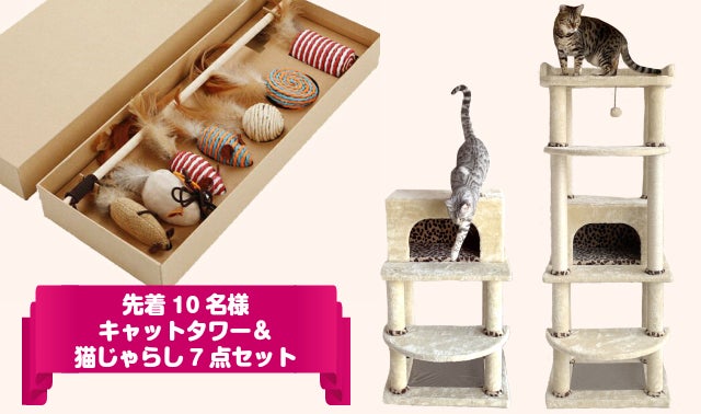 キャットタワー専門店』が『ネコの快適』を追求した 猫お墨付き