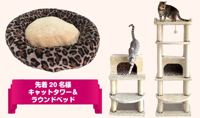 キャットタワー専門店』が『ネコの快適』を追求した 猫お墨付き
