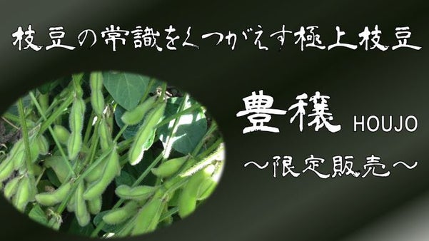 山梨県の希少な極上枝豆を枝ごとあなたのものに。枝豆の常識をくつがえす挑戦第2弾！