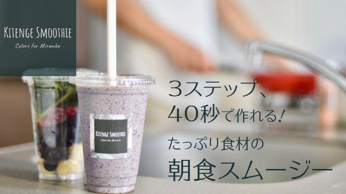アトコントロール ATプロテインスムージー 2袋セット AT アトコントロール ATプロテインスムージー 2袋セット AT