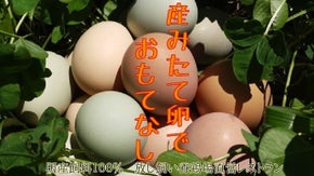 放し飼い養鶏場直営の、とびきり美味しい卵を使った農家レストランをオープンさせたい