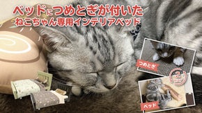 ねこちゃん専用！ゆったりくつろげる本格ねこベッドを作りたい！