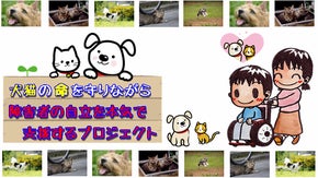 犬猫の命を守りながら、障がい者の自立支援を本気でお手伝いしたい！