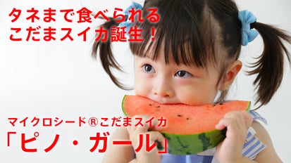 main_7626.png?version=