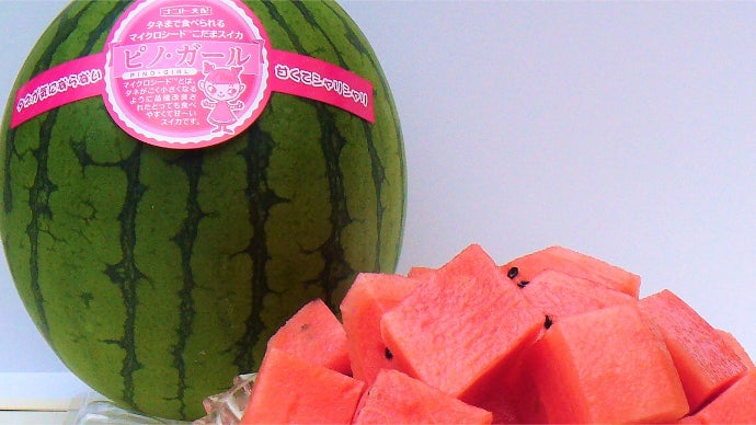 タネまで食べられるマイクロシード西瓜「ピノ・ガール」 思いきり