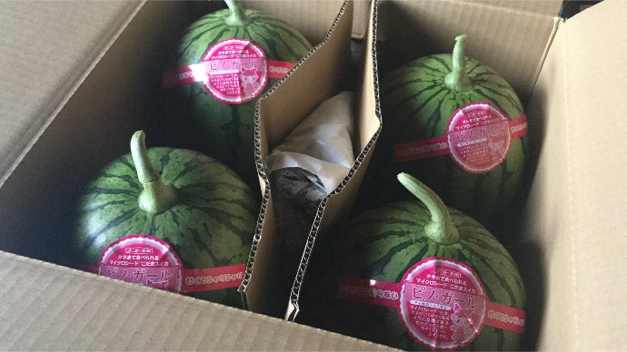 タネまで食べられるマイクロシード西瓜「ピノ・ガール」 思いきり