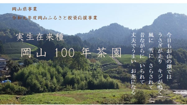 「実生在来種 岡山100年茶園」地元のシンボル存続のために！自然農法プロジェクト