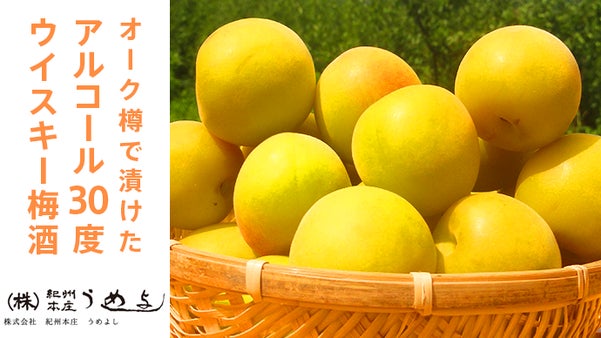 [初挑戦] 梅は脇役。主役がお酒のオーク樽熟成梅酒　アルコール３０度