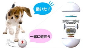 【COCOMI第2弾】ペットの遊び相手、肥満防止に！人口知能ロボットボール