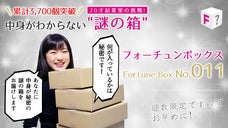 個数限定"謎の箱"「フォーチュンボックスNo.011」をあなたにお届け!