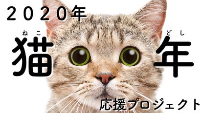 長崎尾曲がり猫神社」プレゼンツ。猫ちゃんを救うチャリティ企画