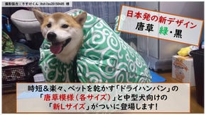 ペットを乾かすジャケット、ドライハンバンの「新Lサイズ」と「唐草模様」が登場！