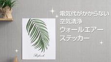 電気代がかからず壁に貼って飾るだけ！部屋の空気清浄「ウォールエアーステッカー」