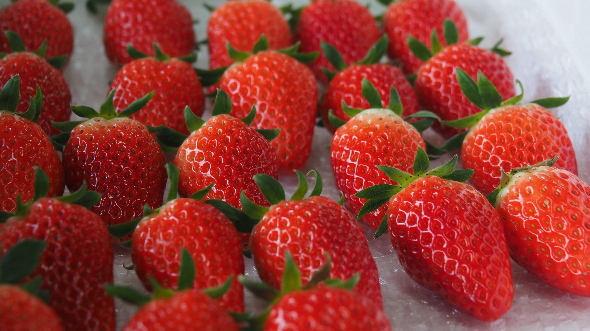 限界突破！超高糖度のいちご「PrincessRouge」をご賞味ください