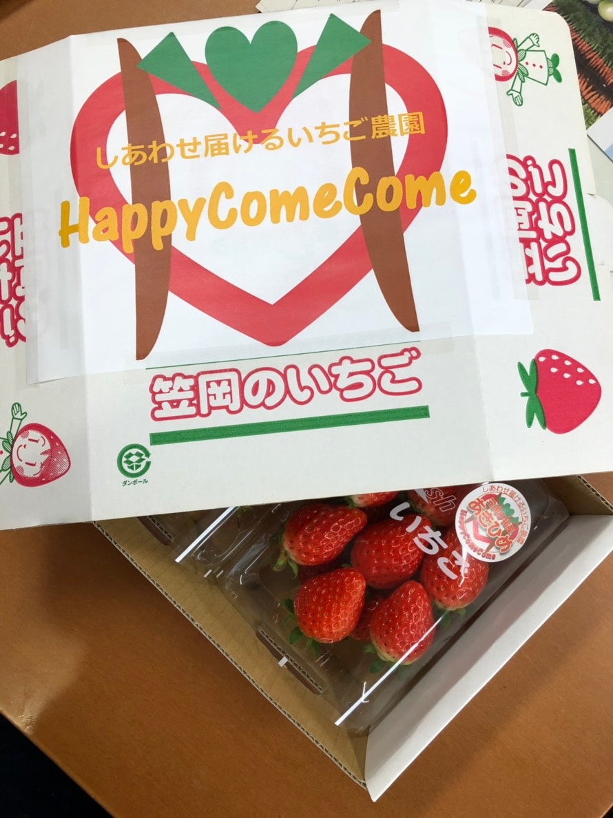 限界突破！超高糖度のいちご「PrincessRouge」をご賞味ください